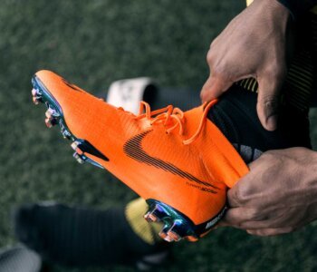 evtl news back to training